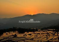 Qingkou Rice Terrace Sunrise