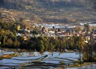 Qingkou Rice Terraces