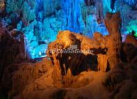 Reed Flute Cave-Walrus Explores the Sea