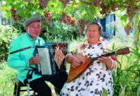 Russian Ethnic Musical Instrument