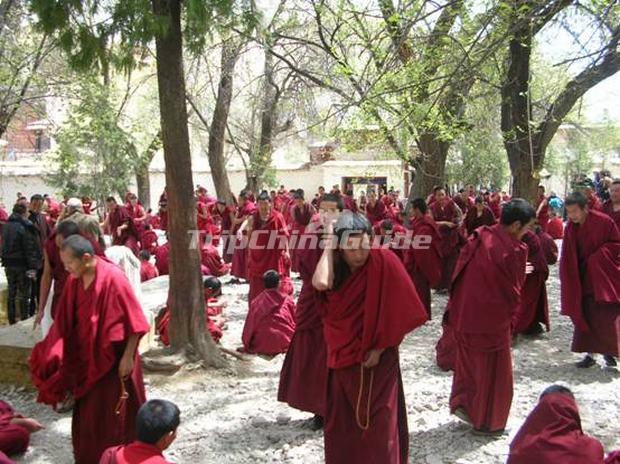 Sera Monastery Lama Lhasa