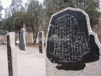 Carapace-Bone-Script at Yin Ruins Shang Dynasty