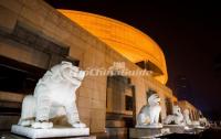 Shanghai Museum Lifelike Stone Lions