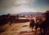 People Riding Horses at Shaxi Old Town Dali