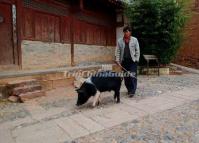 People's Life at Shaxi Ancient Town