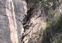 Shennong Stream Coffin 