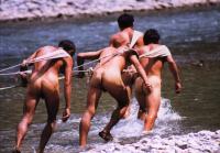 Shennong Stream