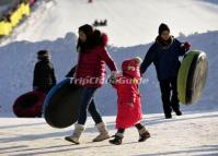 Visit Shenyang International Ice and Snow Festival