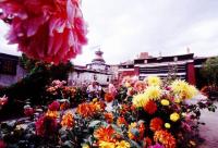 Shigatse Palkor Chode Monastery Lhasa Tibet China 