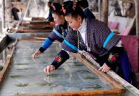 Flower Paper Making at Shiqiao Miao Village China