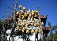 Lijiang Shuhe Old Town