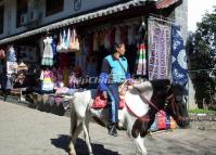 Lijiiang Attractions-Shuhe Old Town