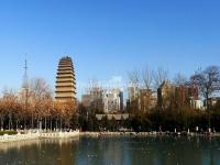 Xi'an Small Wild Goose Pagoda Park