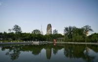 A Distance View of Xi'an Small Wild Goose Pagoda