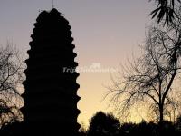 Small Wild Goose Pagoda at Sunset 