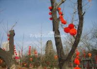 Spring Festival at Small Wild Goose Pagoda 