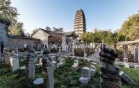 Small Wild Goose Pagoda Scenic Area Xian 