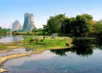 Solitary Beauty Peak Beautiful Landscape Guilin