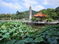 South Putuo Temple Scenery 