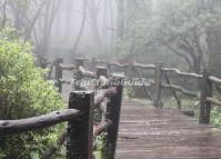 Spruce Plateau Wooden Structure Road Lijiang 