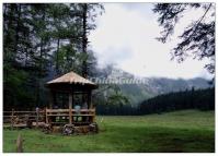 Spruce Plateau Pavilion Lijiang 