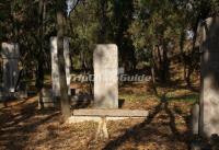 Stele Forest China 