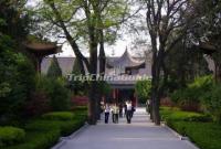 Visit Stele Forest Xian 
