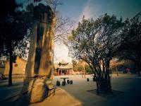 Stele Forest