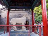 A Stone Horse Sculpture in Xian Forest of Stone Steles Museum