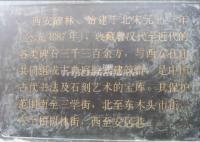 Xian Stele Forest