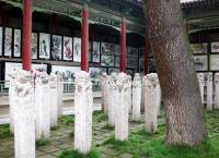 Stele Forest Xian China 