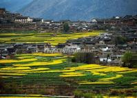 Stone Drum Village Lijiang 