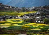 Stone Drum Village Lijiang 