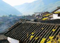 Stone Drum Town Building Lijiang