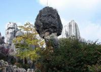 Special Stone Forest Kunming 