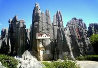 Stone Forest