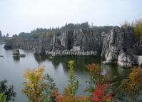 Stone Forest Autumn Scenery Kunming 