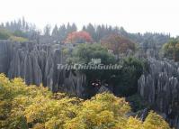 The Stone Forest in Kunming China