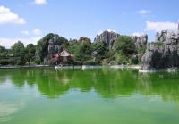 Stone Forest Scenery Kunming 