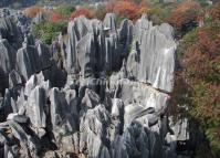 Kunming Stone Forest Scenic Area 