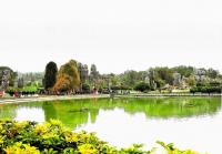 Stone Forest Landscape Kunming 