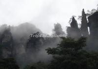 Zhangjiajie Suoxi Valley Nature Reserve 