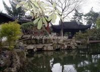 Suzhou Couple's Retreat Garden Building 