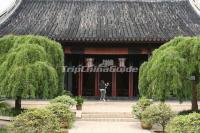 Suzhou Garden Museum Architecture 