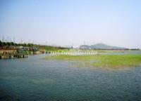 Suzhou Taihu Wetland Park Scenic Spot 