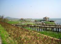 Suzhou Taihu Wetland Park Scenic Area