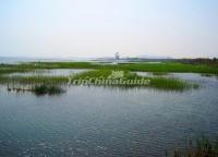 Suzhou Taihu Wetland Park Landscape 