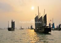 Suzhou Taihu Wetland Park Boats