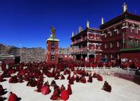 The Lamas in Tagong Monastery