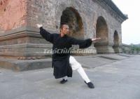 Wudang Tai Chi Chuan